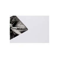 HAMA Spiralalbum Fine Art 36x32cm 2109 kreide 25 Blatt