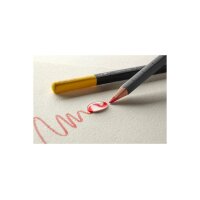 MOLESKINE Aquarellstifte 710463 12 Stück