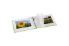 HAMA Album Fine Art 2114 240x170mm, kiwi 25 pages blanc