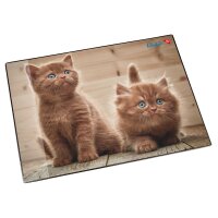 Läufer Schreibunterlage Neugierige Kätzchen,...