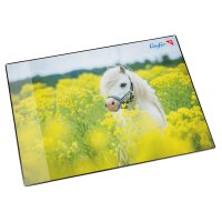 Läufer Schreibunterlage Pferd im Rapsfeld, 400 x 530 mm