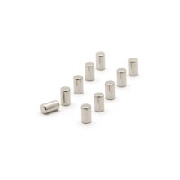 TRENDFORM Magnete MAGNUM TF30B 10er Set silber