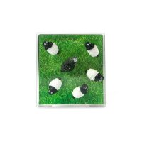 TRENDFORM Aimants SHEEP FA3737 set de 6 assorti