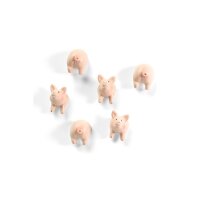 TRENDFORM Magnete PIGGY FA4593 6er Set assortiert