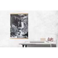 DEBEX Bornier poster 31x2cm LEMG 31 Chêne, magnetique