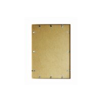 DEBEX Cadre 70x100cm 727001700100 Verre acrylic, gold