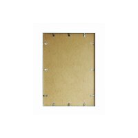 DEBEX Cadre 60x80cm 726001600800 Verre acrylic, silver