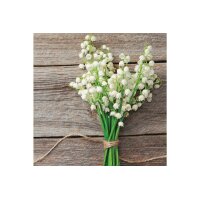 STEWO Serviette de table Mady 2572650260 blanc 33x33cm