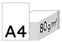 HP Home & Office Universalpapier weiss A4 80g - 1 Karton (2500 Blatt)
