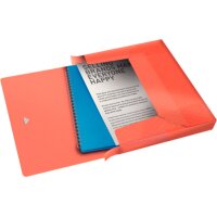 ESSELTE Ablagebox 25mm A4 626258 ColourIce, apricot