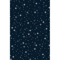 STEWO Papier cadeau Nova 252263894 0.5x100m bleu...