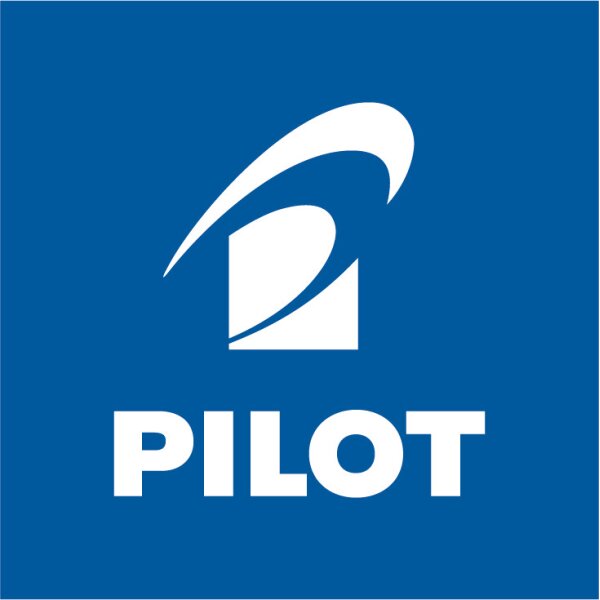 PILOT Marker Pintor M SW-PT-M-L blau