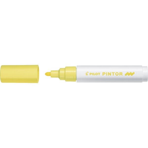 PILOT Pigmentmarker PINTOR, medium, grün