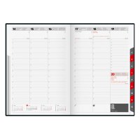 RIDOIDE Studioplan International 2026 7023016306.26 1W/2S...