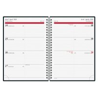 RIDOIDE Timing 1 Mountains 2026 7021807016.26 1W/2S ML...