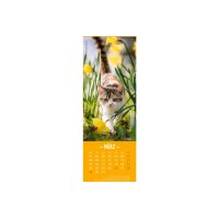 HEYE Lesezeichen-Kal. Katzen 2027 21474+27 DE 6x18cm