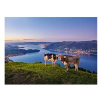 CALENDARIA Calendrier 2027 9783036206011 Zentralschweiz ML 31.5x23cm