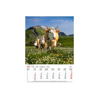 CALENDARIA Bildkalender 2027 9783036206127 Swiss Souvenir ML 23x31.5cm