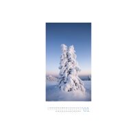 ACKERMANN Calendrier 2026 2620 Bäume ML 33x66cm