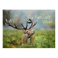 ACKERMANN Bildkalender 2027 2782 Tierwelt Wald D 45x33cm