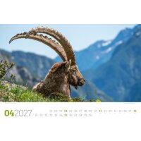 ACKERMANN Bildkalender 2027 2782 Tierwelt Wald D 45x33cm