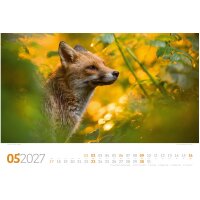 ACKERMANN Bildkalender 2027 2782 Tierwelt Wald D 45x33cm