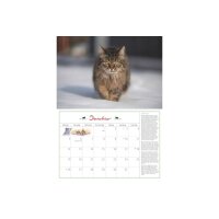 DUMONT Calendrier 2026 260621 Chats AL 42x29cm