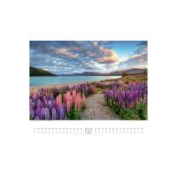 ACKERMANN Calendrier 2026 2634 Wege ML 54x48cm