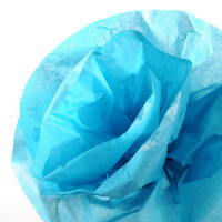 CANSON Papier de soie, 0,5 x 5,0 m, 20 g/m2, bleu turquoise