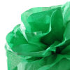 CANSON Papier de soie, 0,5 x 5,0 m, 20 g/m2, vert franc
