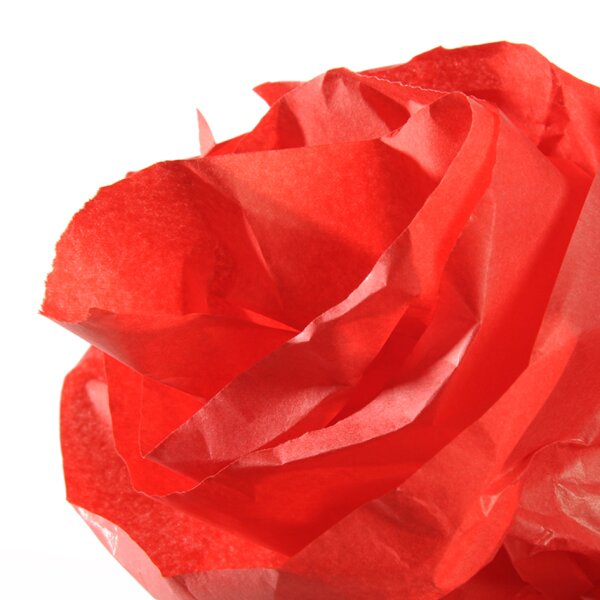 CANSON Seidenpapier-Rolle, 0,5 x 5,0 m, 20 g qm, lila