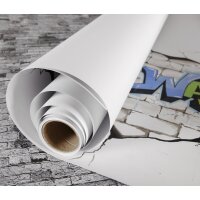 CANSON Zeichenpapier-Rolle "The WALL", 1 x 5 m,...