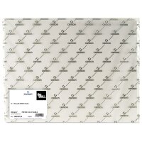 CANSON Zeichenpapier "The WALL", 700 x 1.000...