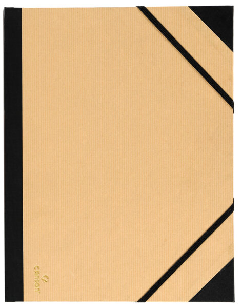 CANSON Carton à dessin Kraft, 520 x 720 mm