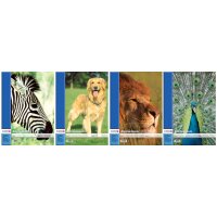 LANDRÉ Bloc à dessin A3, 100 g/m2, 20...