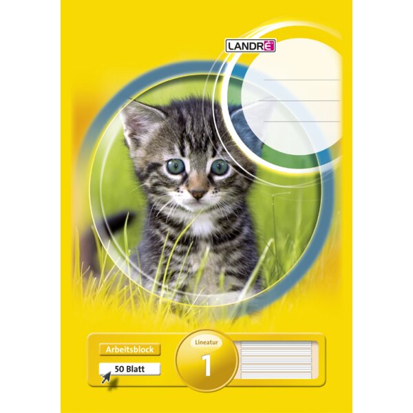 LANDRÉ Bloc scolaire pro terra, format A4, linéature 3