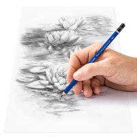 STAEDTLER Crayon 100 Mars Lumograph, étui en...