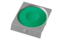 PELIKAN Couleur opaque Pro Color 735K/135 vert