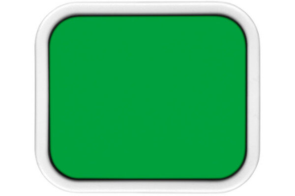 CARAN DACHE Deckfarbe Gouache 1000.210 smaragd