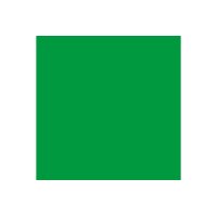 TALENS Plakatfarbe 1000ml 09716020 grün