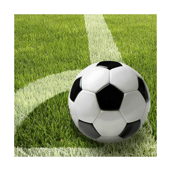 PAPSTAR Serviettes à motif Football, 330 x 330 mm