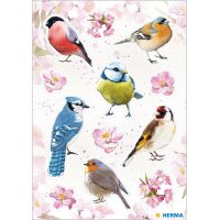 HERMA Sticker DECOR Oiseaux à laquarelle