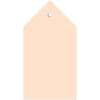 HERMA Anhängezettel, 60 x 120 mm, brauner Karton