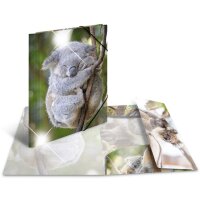 HERMA Chemise à élastiques girafe, PP Glossy, A4