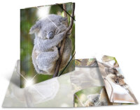 HERMA Chemise à élastiques koala, PP Glossy, A3