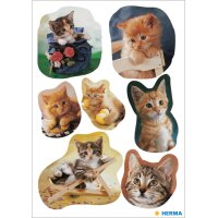 HERMA Autocollants DECOR Photos de chats