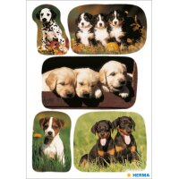HERMA Autocollants DECOR Chiots