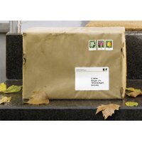 HERMA Wetterfeste Versand-Etiketten SPECIAL, 99,1 x 57 mm