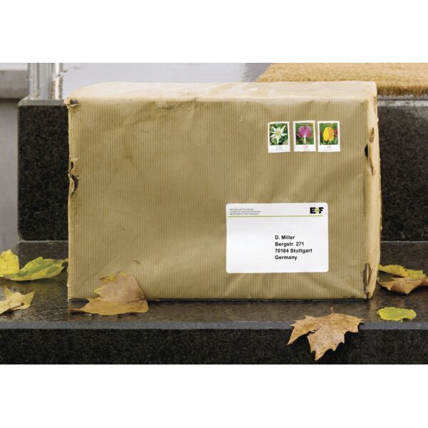HERMA Wetterfeste Versand-Etiketten SPECIAL, 99,1 x 67,7 mm