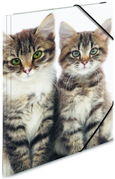 HERMA chemise élastique chats, transparent, en PP, A4,
